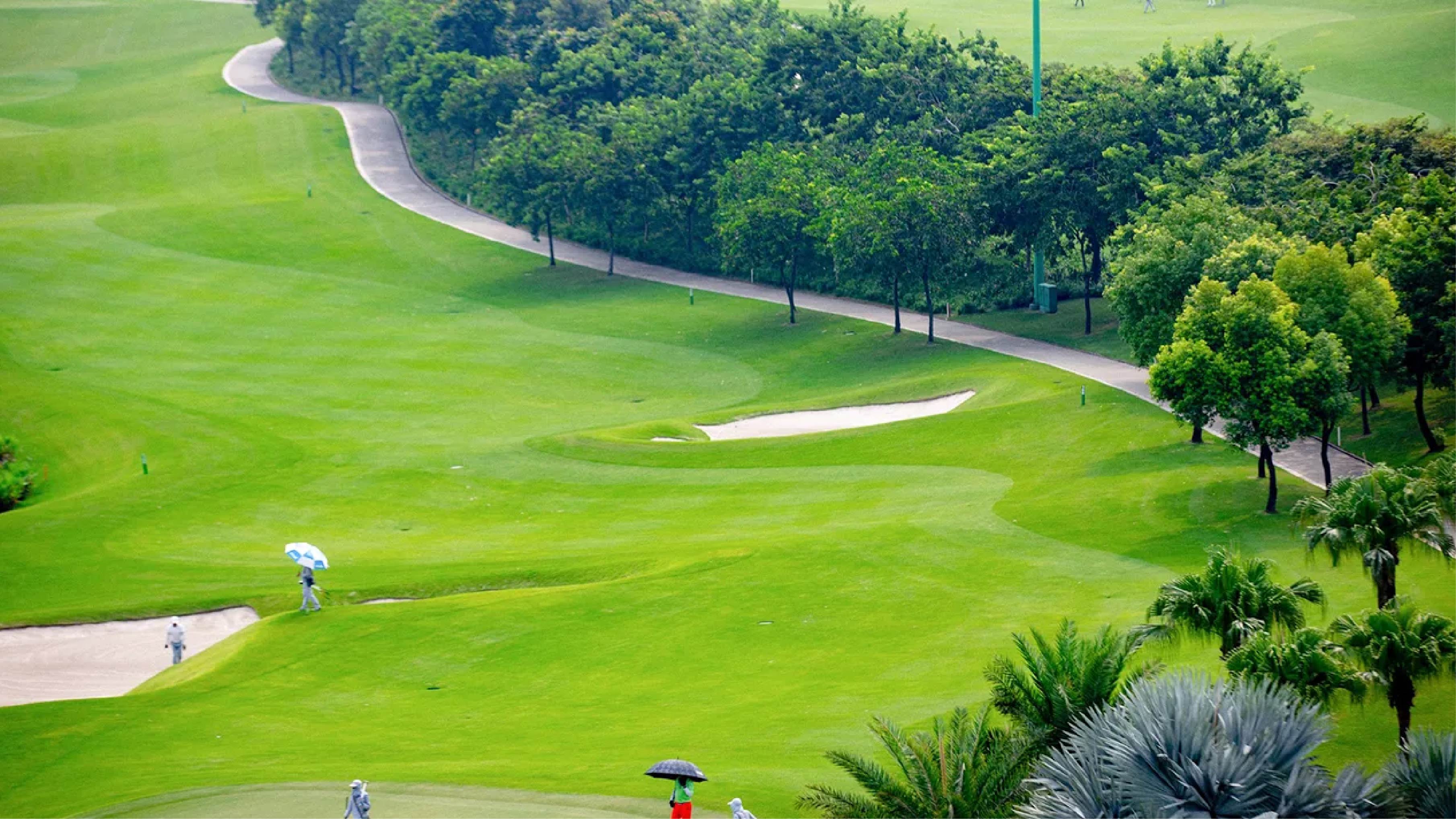 SÂN GOLF 18 HỐ - ảnh 3